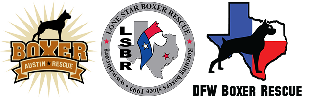 Austin Boxer Rescue Banner Image