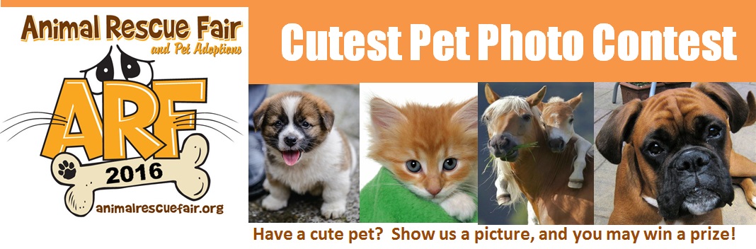 Cutest Pet Photo Contest banner