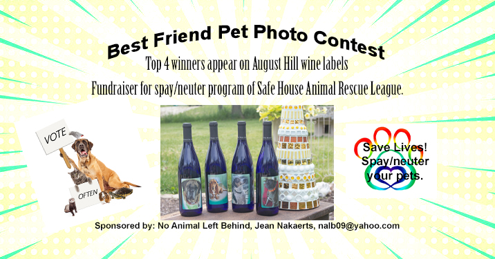 10th Annual Best Friend Pet Photo Contest